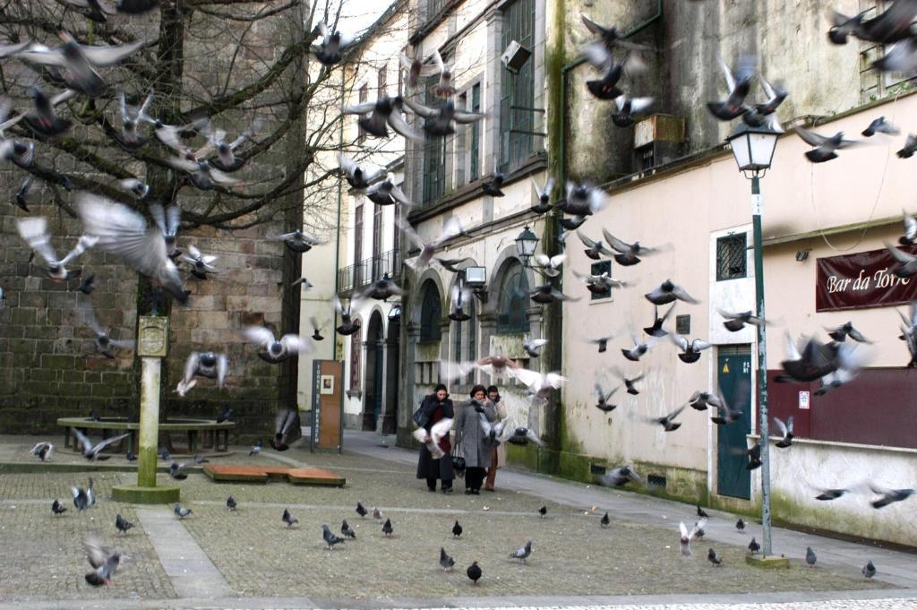 Al Braga Daire Dış mekan fotoğraf